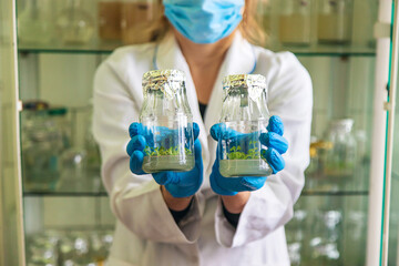 laboratory jars with plants. Selective focus.
