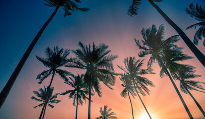 Silhouette coconut palm trees on beach at sunset. Vintage tone.