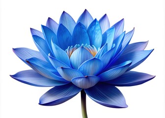 Blue Lotus Flower High Depth of Field AI Photo