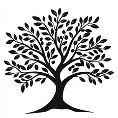 Fototapeta premium Olive Tree Isolated