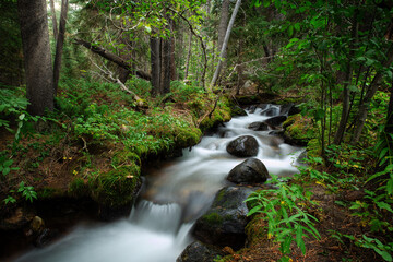 Obraz premium Long exposure photo of rocks and a small river stream or creek flowing through a deep forest surrounded by greenery with sunlight peeking through the foliage found while hiking in nature outdoors