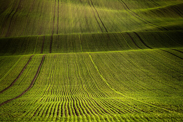 Jesień na Morawach © Krzysztof