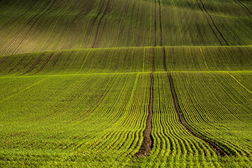 Jesień na Morawach © Krzysztof