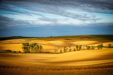 Jesień na Morawach © Krzysztof