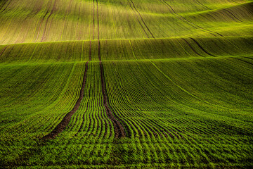 Jesień na Morawach © Krzysztof