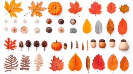 Obraz premium A vibrant collection of autumn leaves, pumpkins, and pine cones, showcasing rich fall colors and natural textures.