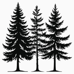 Fototapeta premium four black silhouettes of different types of trees