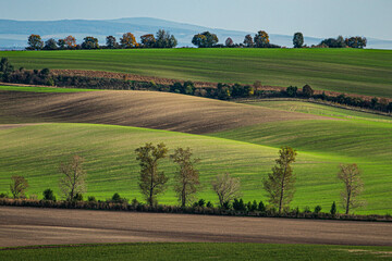 Jesień na Morawach © Krzysztof