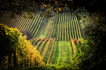 Jesień na Morawach © Krzysztof