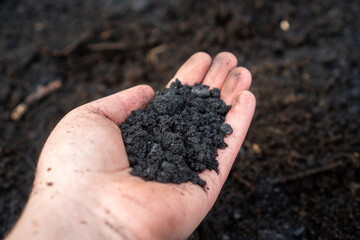 Nahaufnahme von Pflanzenkohle (Biochar) zur Bodenverbesserung im Garten und in der Landwirtschaft