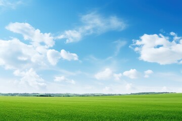 Fototapeta premium Green field landscape background sky outdoors.