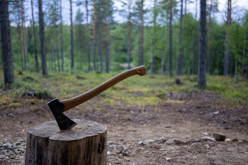 axe in wood