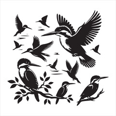 A group of birds featuring the phrase 