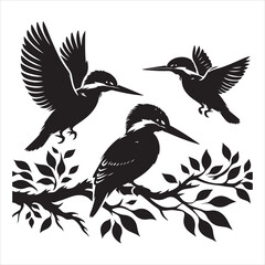 Kingfisher graphic logo design with silhouette icon