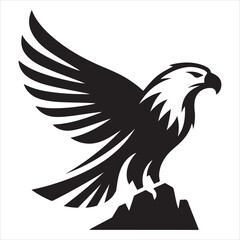Drawing in black and white with a flying eagle in hand