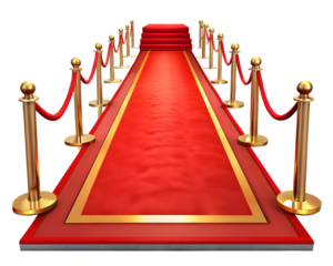 Red carpet on stairs with red ropes on golden stanchions