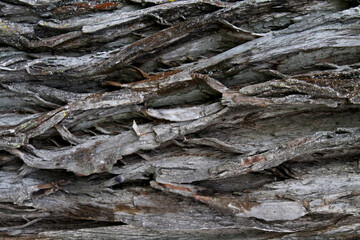 Close-up of the pattern and wood grain for the background.