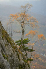 Scenic autumn landscape in Mehedinti Mountains, Carpathians, Romania, Europe. Fall alpine landscape in the mountains