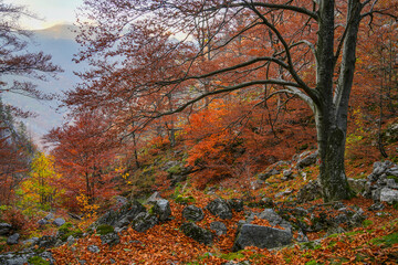 Fototapeta premium Scenic autumn landscape in Mehedinti Mountains, Carpathians, Romania, Europe. Fall alpine landscape in the mountains 