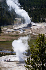 Plume, Beehive, Aurum, and Anemone geyser steaming along the boardwalks on Geyser Hill viewed from Observation Point in the Upper Basin of Yellowstone National Park