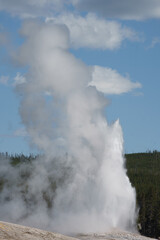 Old Faithful erupting in Upper Basin in Yellowstone National Park