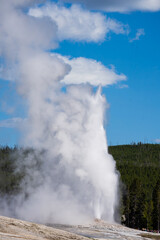 Old Faithful erupting in Upper Basin in Yellowstone National Park