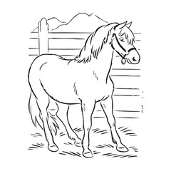 Horse Animal Drawing vector