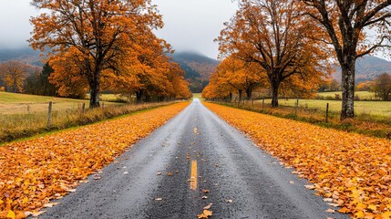 Naklejka premium Rural autumn road lined with old oak trees, warm orange and yellow leaves covering path, charming and nostalgic countryside scene