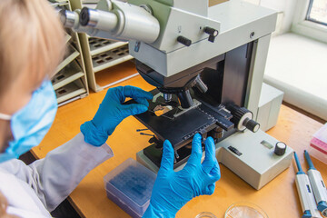 Examine in the laboratory under a microscope. Selective focus.