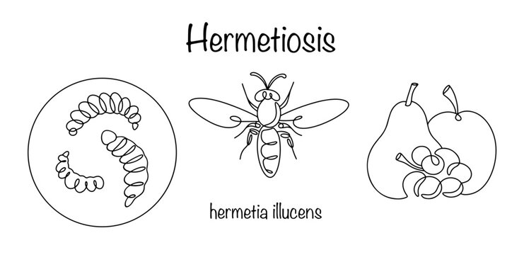Hermetiosis