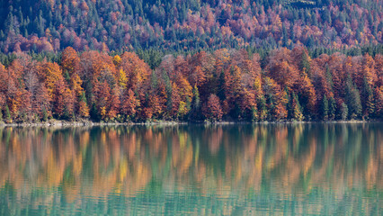 Obraz premium Bäüme im Herbst spiegeln im See