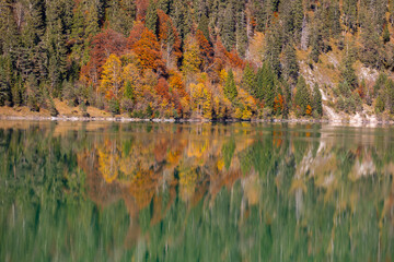 Bäüme im Herbst spiegeln im See