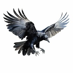 Fototapeta premium A black crow with its wings spread out in the air