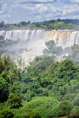 View of vegetation and waterfalls at Iguazu Falls, Misiones, Argentina
