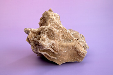Ancient old petrified wood, excavation, minerals, as nice background Narrow focus line, shallow depth of field macro