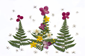 Greeting card for Christmas and New Year. Festive Christmas arrangement. Dried pressed flowers on a white.