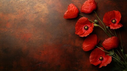 Red Poppies on Vintage Brown Background