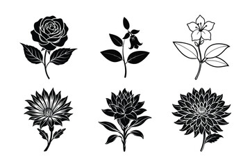 6 bundle Flower vector - Rose, Cuphea Hyssopifolia, Asters, Chicory, Indian Paintbrush flower