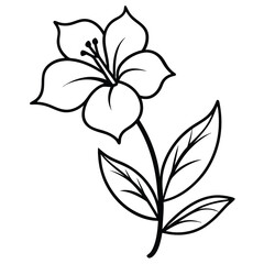 High quality Beautiful Cuphea Hyssopifolia flower with leaf vector line art