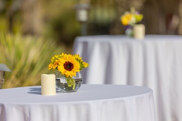 Sunflowers in vase on outdoor table