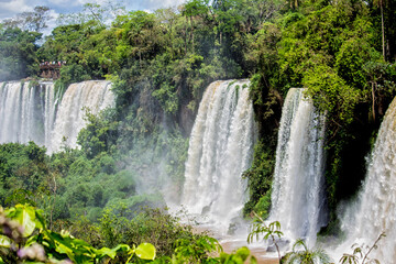 Naklejka premium Waterfalls and trees at Iguazu Falls, Misiones, Argentina