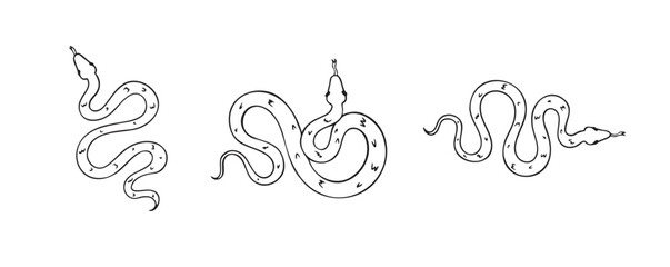 Hand drawn doodle snake top view icon set. Outline drawing isolated snake on white background.