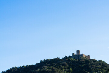 Fototapeta premium mountain fortress medieval castle nature tree Collioure