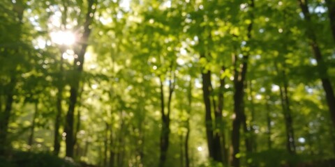 Obraz premium Blurred sunlight filtering through lush green foliage in a peaceful forest setting, background, outdoors, beauty