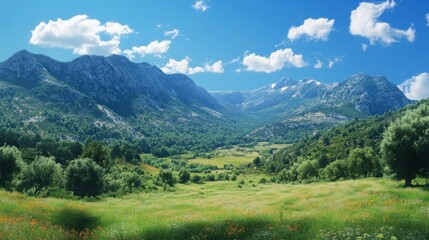 Obraz premium Natural scenery vector, showing a green valley with a mountain backdrop, under a bright blue sky