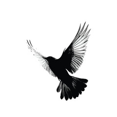 Fototapeta premium Silhouette of a bird in flight against a white background
