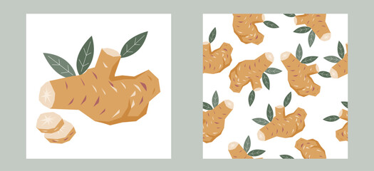 Ginger or turmeric indian spice label and seamless background, flat vector illustration. Design set for ginger or turmeric packaging templates.