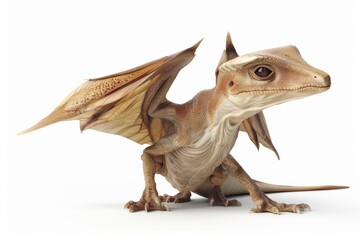 Obraz premium Baby dragon with open wings