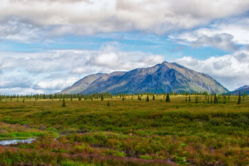 Rugged Mountain and plain