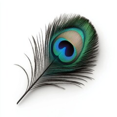 Obraz premium Vibrant peacock feathers in close-up, intricate patterns and iridescent colors showcasing the beauty of nature